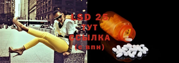 тгк Ельня