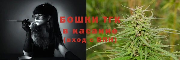 тгк Ельня