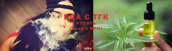 тгк Ельня