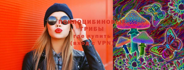 прущие крисы Заводоуковск