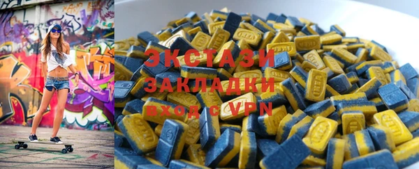 тгк Ельня