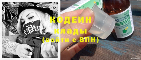 шишки Елизово