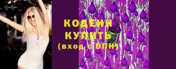 шишки Елизово