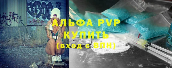 шишки Елизово