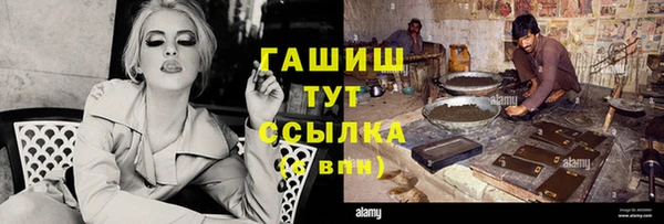шишки Елизово