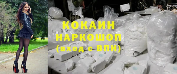 тгк Ельня