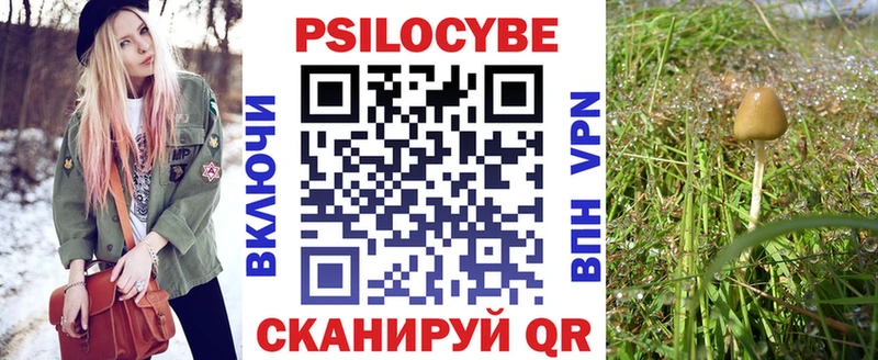Купить  Озёры  Псилоцибиновые грибы мухоморы 